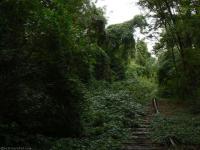 Abandoned railways - Berlin